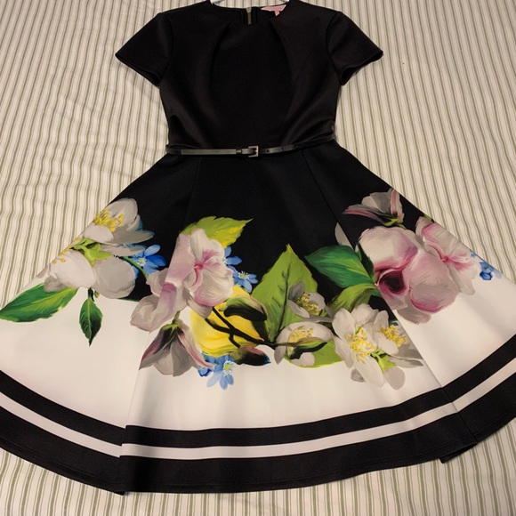 Beautiful Worn Once Ted Backer Short Sleeve Spring Dress Size 0 - Picture 2 of 5